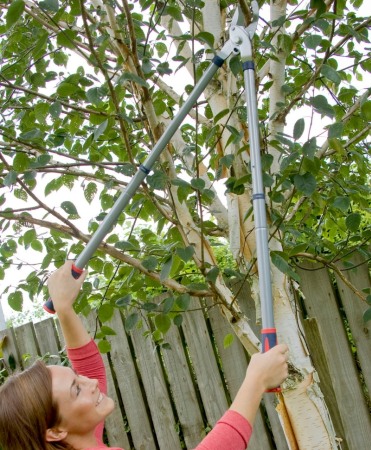 Foarfeca crengi tip bypass cu lame lacuite, maner telescopic, Spear & Jackson Razorsharp Steel [1]