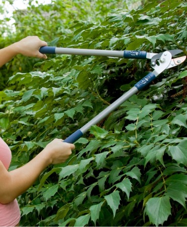 Foarfeca crengi tip nicovala cu lama otel carbon cu teflon, Spear & Jackson Razorsharp Active [1]