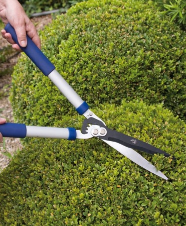 Foarfeca gard viu cu lama otel carbon C50 cu teflon, Spear & Jackson Razorsharp Advance [1]