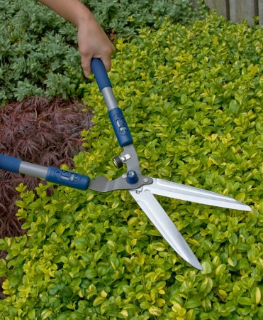 Foarfeca gard viu cu lama otel carbon placata cu crom, Spear & Jackson Razorsharp Active [2]