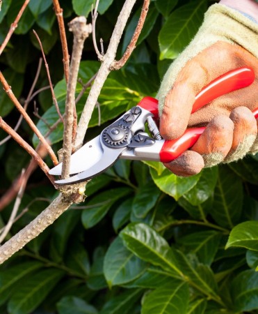 Foarfeca gradina Heavy Duty tip bypass cu lame otel carbon, manere ergonomice, Spear & Jackson Razorsharp Pro [3]