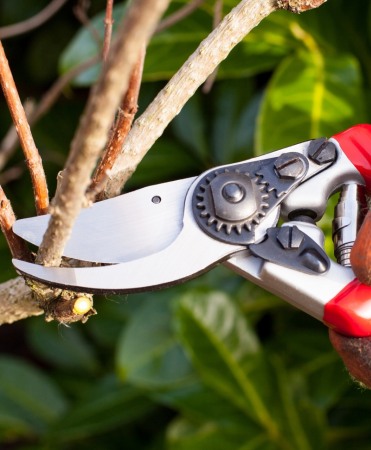 Foarfeca gradina Heavy Duty tip bypass cu lame otel carbon, manere ergonomice, Spear & Jackson Razorsharp Pro [2]