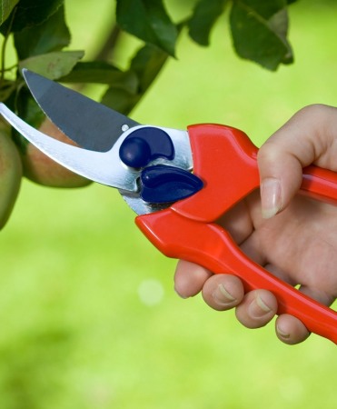Foarfeca gradina tip bypass cu lama otel carbon cu teflon, Spear & Jackson Razorsharp Active [1]