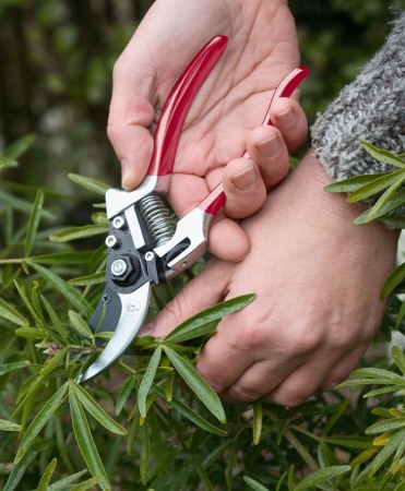 Foarfeca gradina tip bypass cu lama otel SK5 cu teflon, Spear & Jackson Razorsharp Advance [1]