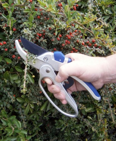 Foarfeca gradina tip nicovala cu lama otel SK5 cu teflon, transmisie cu roti dintate, Spear & Jackson Razorsharp Advance [2]