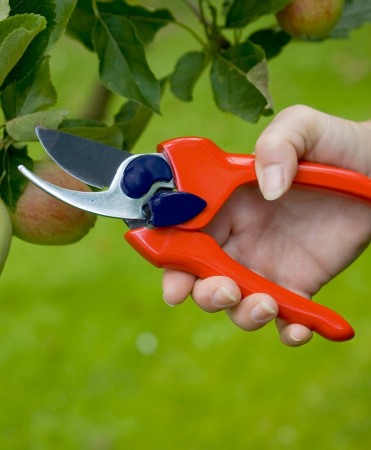 Foarfeca medie gradina tip bypass cu lama otel carbon cu teflon, Spear & Jackson Razorsharp Active [2]