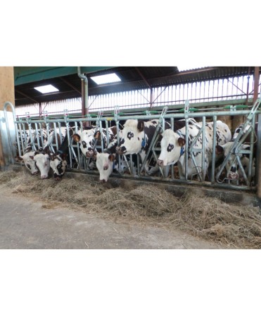 Front furajare autoblocant, Jourdain  Safety IV, ajustabil [5]