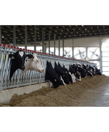 Front furajare autoblocant, Jourdain  Safety IV, ajustabil [2]