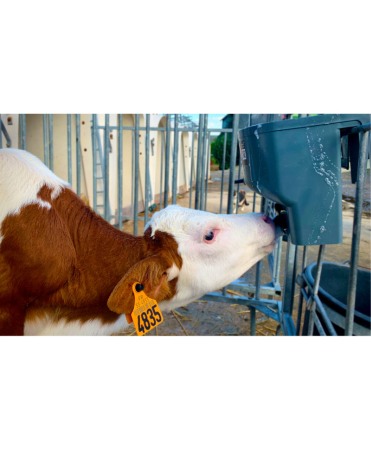 Galeata cu tetina pentru alaptarea viteilor, Milk Bar, 4l cu sistem fixare tetina, suport de prindere si carlig de blocare [4]