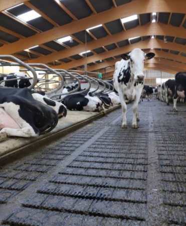 Gratar beton Cobefa Bovi-Flexx [3]