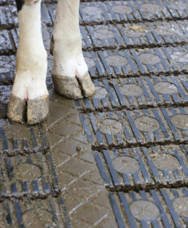 Gratar beton Cobefa Bovi-Flexx [7]