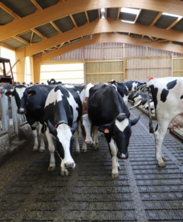 Gratar beton Cobefa Bovi-Flexx [8]