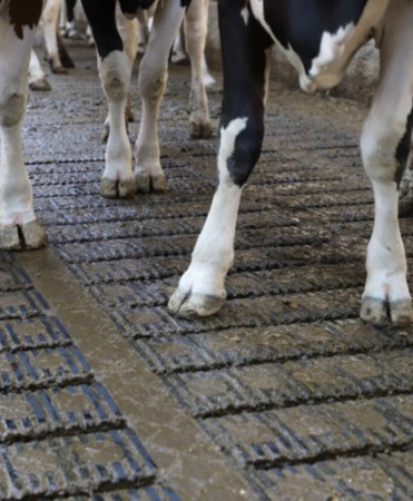 Gratar beton Cobefa Bovi-Flexx [5]