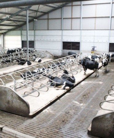 Gratar beton, Cobefa Bovi-Pro, H18 [7]