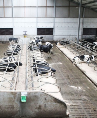 Gratar beton, Cobefa Bovi-Pro, H18 [8]