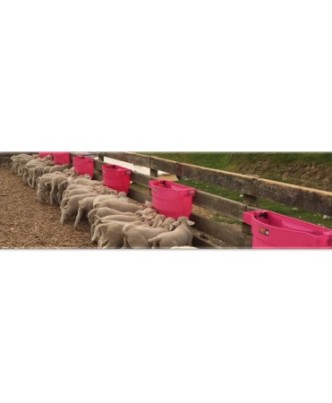 Hranitoare comuna miei si iezi cu 10 tetine, Milk Bar, 36l cu carlige de fixare Ezi Lock [6]