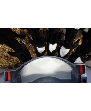 Hranitoare comuna vitei cu 6 tetine, Milk Bar, 36l cu carlige de fixare Ezi Lock [1]