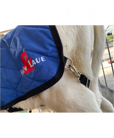 Jacheta vitei H&L, pentru sezonul rece [2]