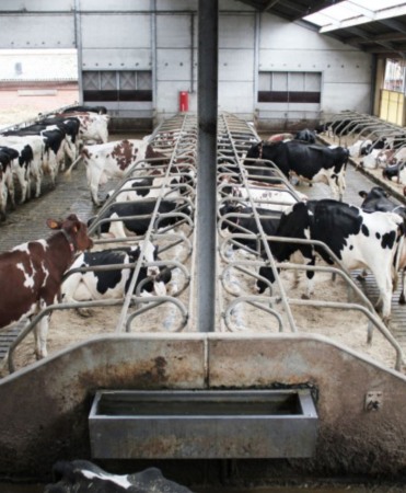 Perete de capat cusete beton, Cobefa End Wall, H12 [4]