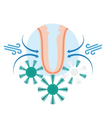 Perie curatare mameloane Northern Sanicleanse [7]