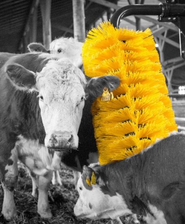 Perie scarpinat animale mecanica, oscilanta, EasySwing Maxi [3]