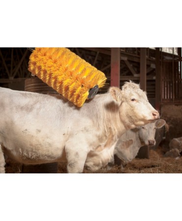 Perie scarpinat animale mecanica, oscilanta, EasySwing Maxi [10]