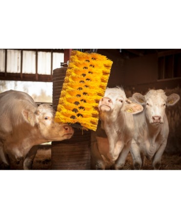 Perie scarpinat animale mecanica, oscilanta, EasySwing Maxi [9]