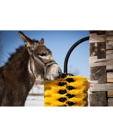 Perie scarpinat animale mecanica, oscilanta, EasySwing Midi [6]