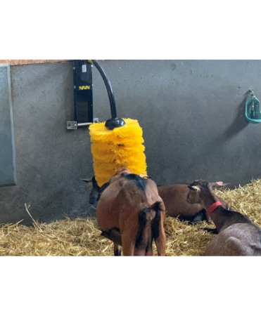 Perie scarpinat animale mecanica, oscilanta, EasySwing Midi [9]