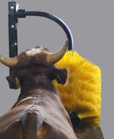 Perie scarpinat animale mecanica, oscilanta, EasySwing Midi [4]