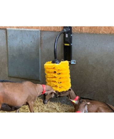 Perie scarpinat animale mecanica, oscilanta, EasySwing Midi [7]