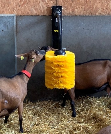 Sanatate si confort vitei - Perie scarpinat animale mecanica, oscilanta, EasySwing Midi