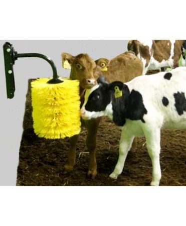 Perie scarpinat animale mecanica, oscilanta, EasySwing Mini [4]