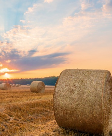 Plasa balotat Zill Polywrap Premium, rosu/negru [1]