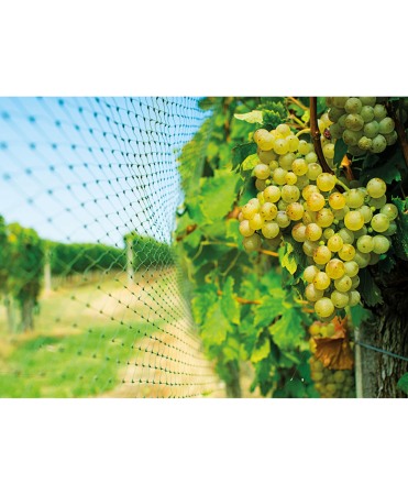 Plasa protectie impotriva pasarilor, Swissinno Bird Netting [1]