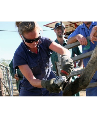 Polizor unghiular cu cablu, Metabo 1100W [2]