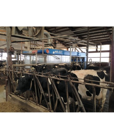 Robot de muls vaci BouMatic Gemini UP cu doua posturi [12]