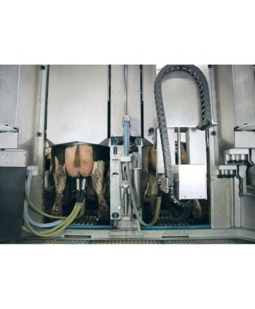 Robot de muls vaci BouMatic Gemini UP cu doua posturi [3]