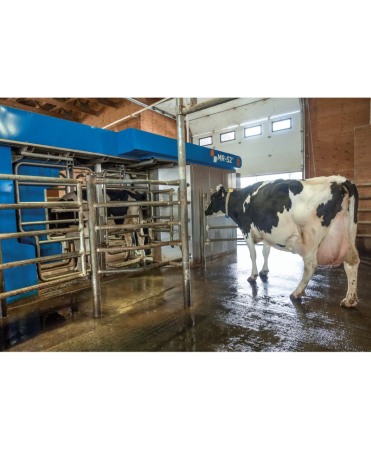 Robot de muls vaci BouMatic Gemini UP cu un post [18]