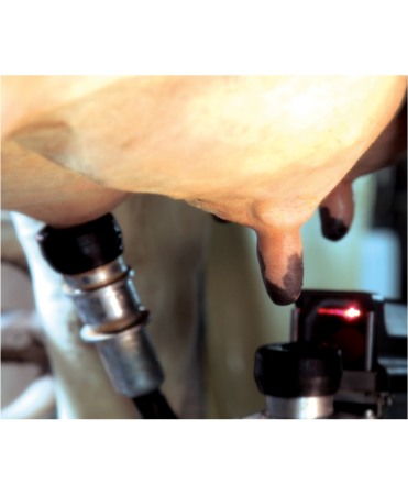 Robot de muls vaci BouMatic Gemini UP cu un post [3]