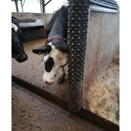 Echipamente si accesorii - Scarpinatoare pentru vaci din cauciuc natural, Bioret DAIRY SCRATCHY, 1,50m latime