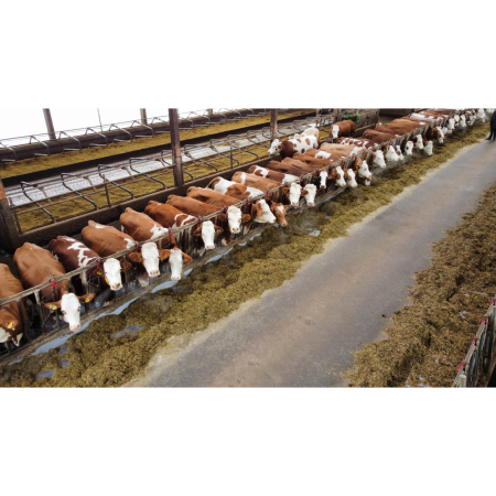 Separator dejectii animale, Bauer Green Bedding [5]