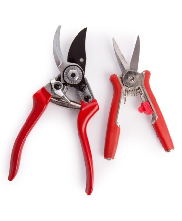 Scule si unelte - Set cadou cu doua foarfeci gradinarit tip bypass, Spear & Jackson