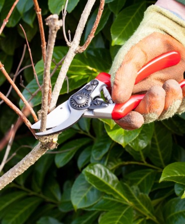 Set rezerva lama si arc cu lama inox, Spear & Jackson Razorsharp Pro [2]