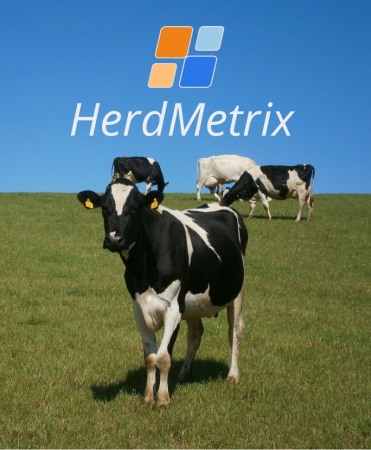 Vaci - Sistem de management ferme vaci lapte BouMatic HerdMetrix