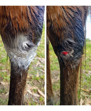 Spray aluminiu de uz veterinar pentru protectia ranilor, Excellent, tub 200 ml [3]