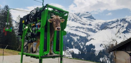 Stand trimaj ongloane vaci, model KVK 800-1, Heavy-Duty, complet automatizat [9]