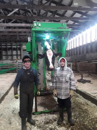 Stand trimaj ongloane vaci, model KVK 800-1, Heavy-Duty, complet automatizat [10]