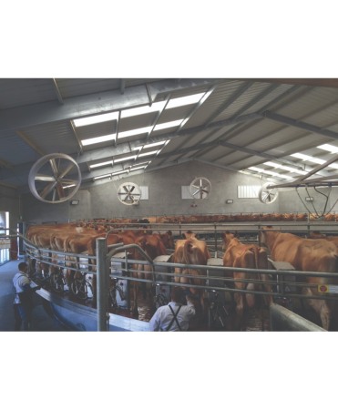 Ventilator VES-Artex Blast 127 cm [5]