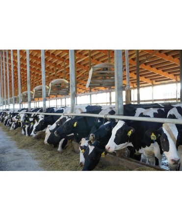 Ventilator VES-Artex ECVair 183 cm cu lame deflectoare ajustabile [4]